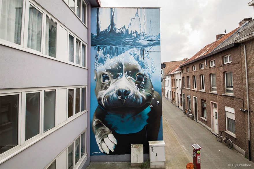 4-Story Street Art Mural Of A Dog Diving Underwater Unveiled In Belgium