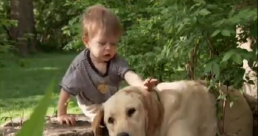 They Hoped Their Son And Dog Would Bond, But Never Anticipated A Friendship Like This.
