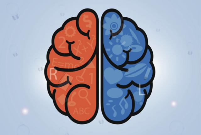 Left brain vs Right brain: Does it really define your personality?