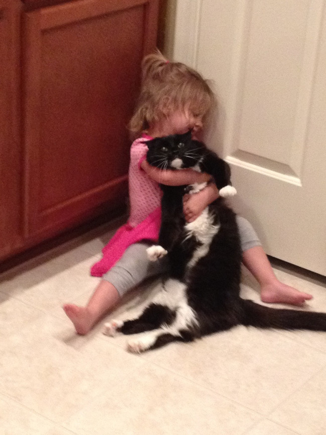 16 Fed-Up Animals Who Want You To Find Someone Else To Cuddle With