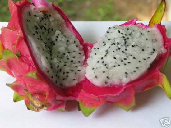20 Fruits you almost certainly don’t know