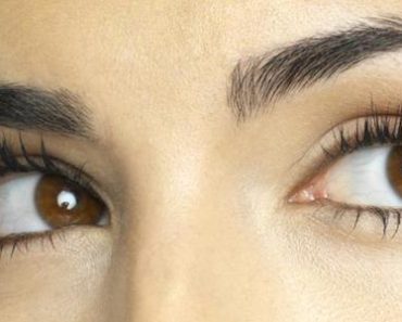 Why do we have eyebrows and eyelashes