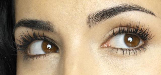 Why do we have eyebrows and eyelashes?