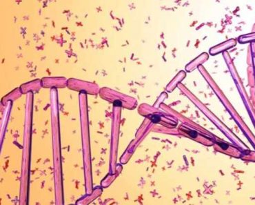 How long does DNA last