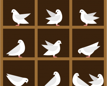What is a pigeonhole