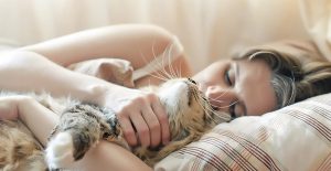 Why do cats like to sleep with their owners