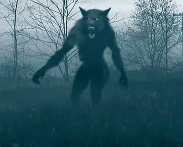 Are werewolves real
