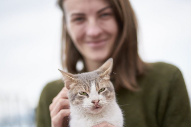 Why do cats like earwax? Reason Explained